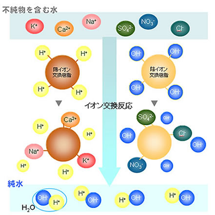 不純物を含む水をきれいにするイオン交換樹脂